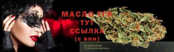 гидра Абаза