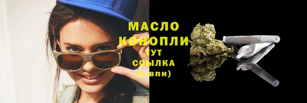 гидра Абаза
