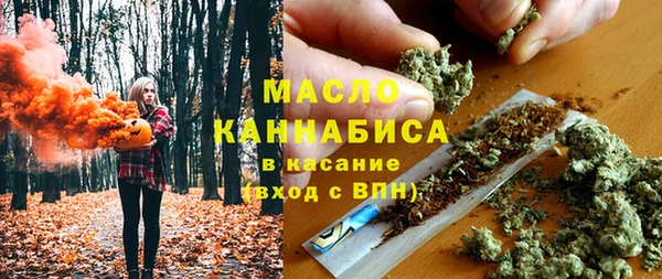 гидра Абаза