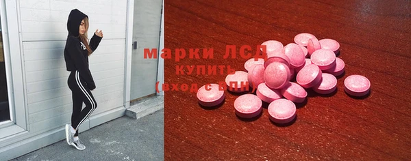 гидра Абаза